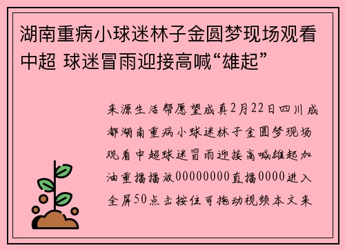 湖南重病小球迷林子金圆梦现场观看中超 球迷冒雨迎接高喊“雄起”